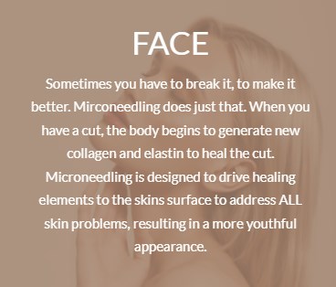 face micro
