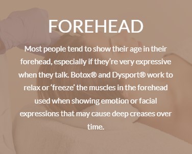 forehead